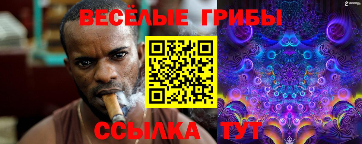 наркошоп  Галлюциногенные грибы ЛСД  Вход с VPN  Красноармейск 